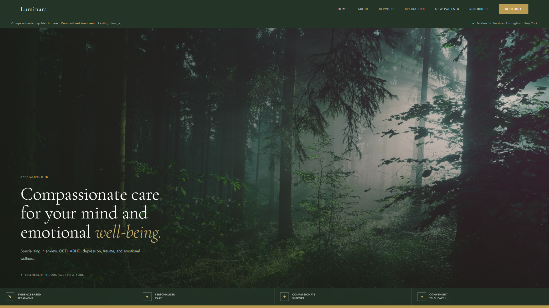Luminara Case Study